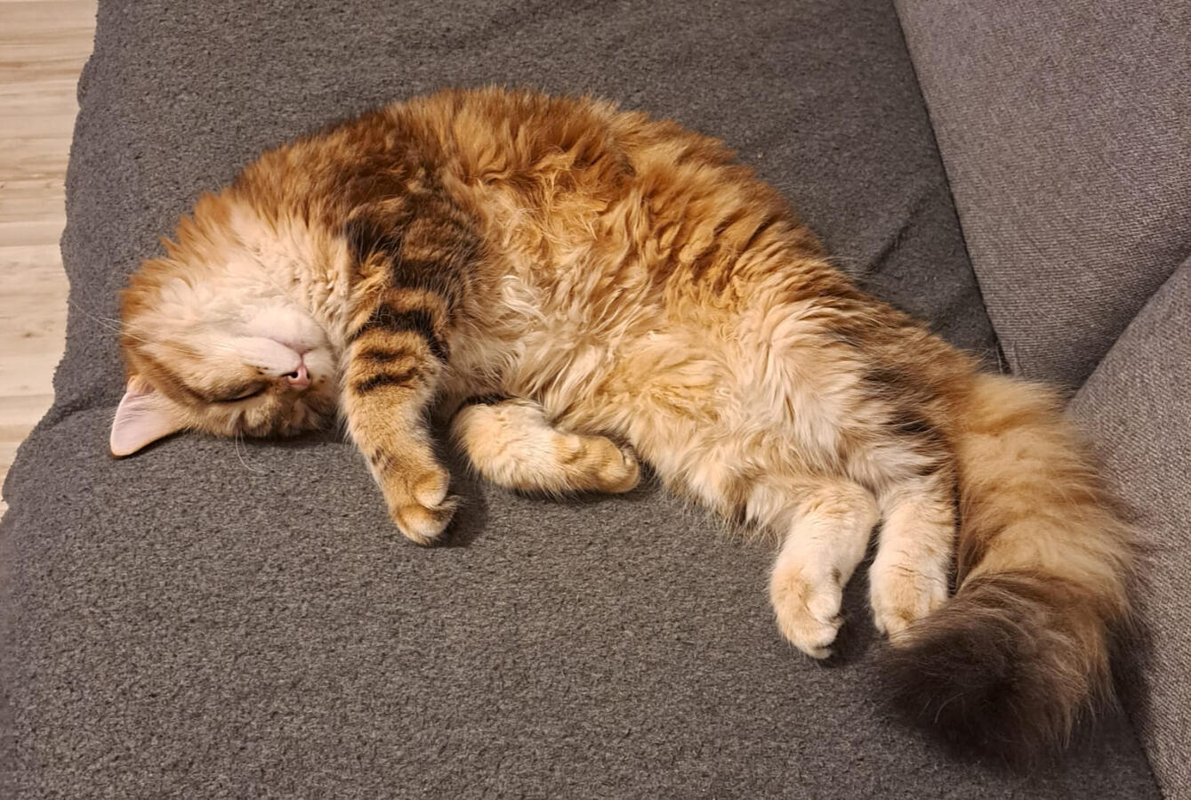 Caramel-3